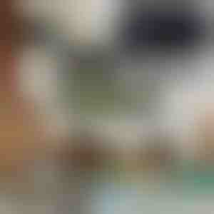 Interne digitale TV-antenne | SIGNALSURE