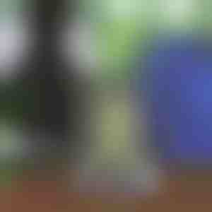 Uniseks rugzak met koord | STRIPEBACK