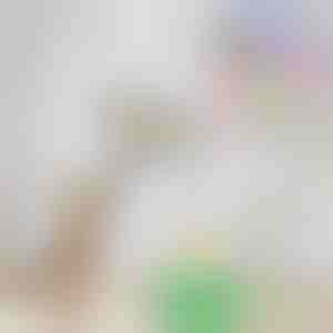 Elektrisch vogelspeeltje voor katten | BIRDIETOY