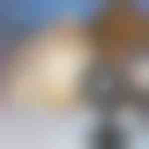 Sneeuwvlok LED projector | SNOWLAMP