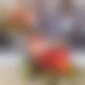 Doe stunts met een Springende Tractor | JUMPICAR