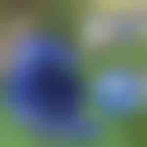 Verstelbaar Reflecterend Harnas en Leiband | LEASHNGO