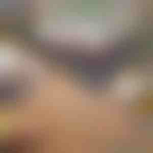 Opvouwbare draagbare barbecuegrill | GRILLOMATE