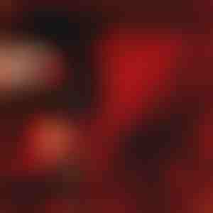 Het geschenk dat liefde spreekt | LOVEBEAR