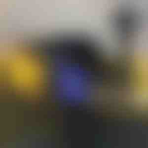 Muggen afstotende buitenlamp (2st) | SOLARBUZZ