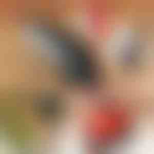 Elektrisk håndsav BRENCHIE