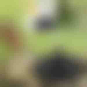 Bring din have til live med den solardrevne fontæne | FONTANA