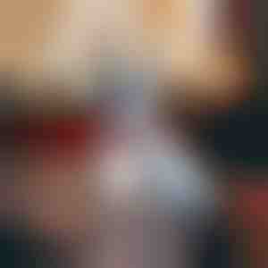 Festlig Snefnug Hundehalsbånd | DOGICOLLAR