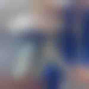 Teleskopstøvfjerner | ARTICLEAN