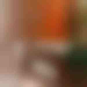 Universal møbelpolish | BEEWAX