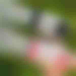 69-huls LED sæbeboblepistol | BUBBLEPUFF