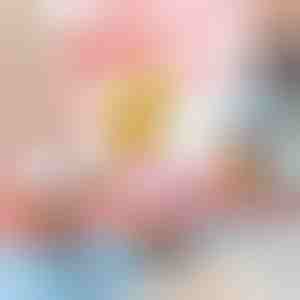 Optrækkelige hoppende legetøjskyllinger (5 stk) | CHIKLET