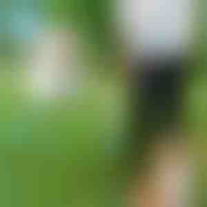 Håndfri hundesnor | CROSSLEASH