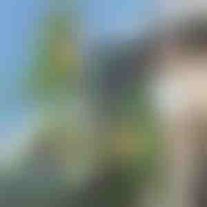 3D-rygsæk i dinosaurform | DINOBACK