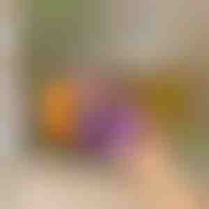 Køleskabsorganisator med automatisk glidesystem | DRINZER