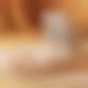 Hurtig skotørrer | DRYVATUS