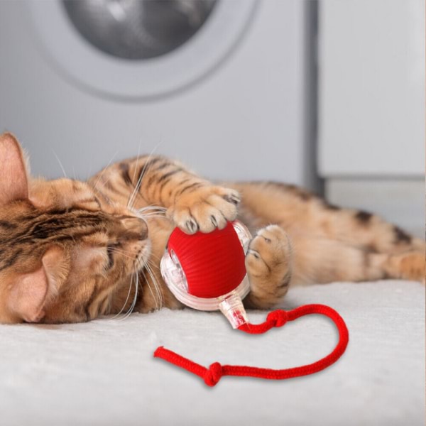 GATOPLAY interaktiv bold