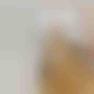 Genopladelig spraydamp-børste til kæledyr | GROOMSY