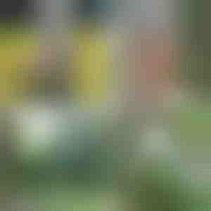 Bærbar bruser | HYDROPORT