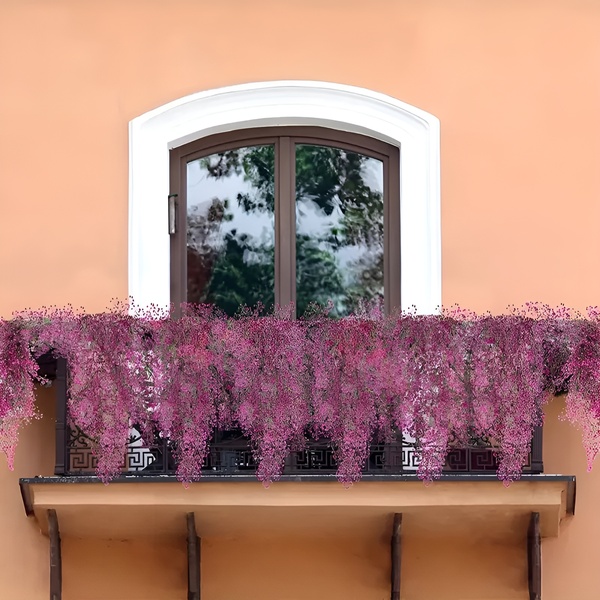 Dekorativ hængeplante