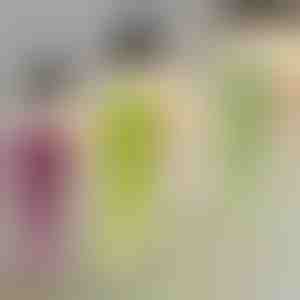 Dekorativ hængeplante | IVYORA