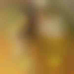 LED-akryl lystavle med 7 tuscher | LUMOBOARD