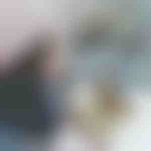 Dyrehandsker MITTENPET