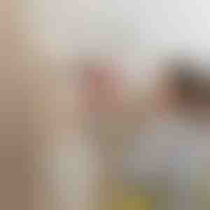 Elektrisk malersprøjte | PAINTJET