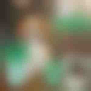 Hundepote-rensekop | PAWSANI