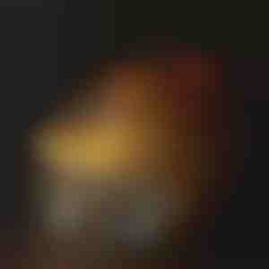 Drikkefontæne til hydrering af kæledyr | PETSPRINGLE