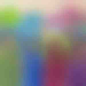 Legetøj, pude og trøje | PILLOWPET