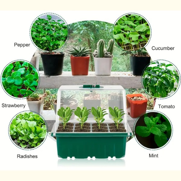 PLANTURKA spirebakke