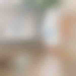 Elektrisk roterende rengøringsbørste | ROTOBRUSH