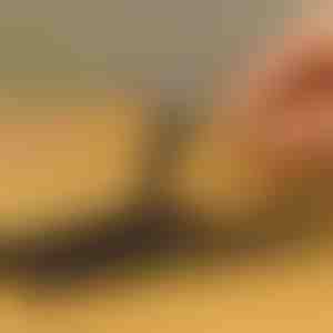 10-delt skrueudtrækker-sæt | SCREWX