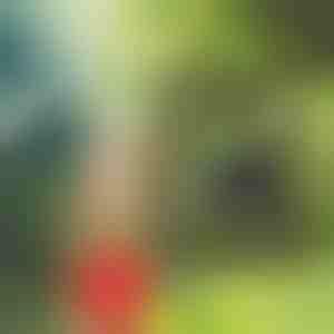 Mobil bruser | SHOWDY