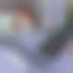 Solskærm til bil og vinduer | SUNGUARD