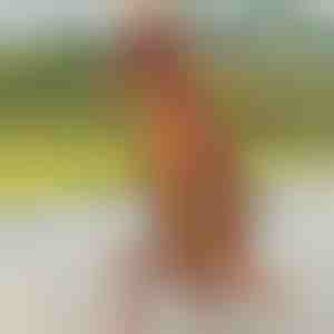 Oppusteligt dinosaurkostume | TREXCOS