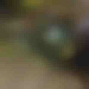 Sammenklappelig trillebør | TROLLYFOLD