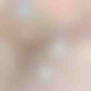 2i1 Trådløs Støvsuger | VACUSTICK