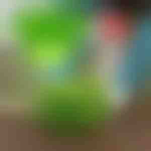 Hold skadedyr væk med VEGISHIELD (10 stk)