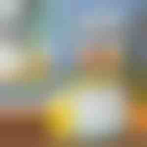 Frugtjuicer | VITAPRESS