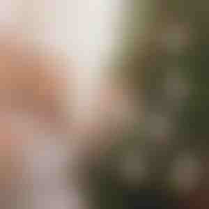 Julepengeholder-ornamenter (4 stk.) | WEALTHMAS