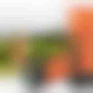 Ultralyds-træningsenhed til kæledyr | WOOFSTOP