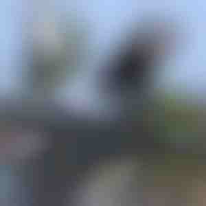 Universel vandtæt cykelmobilholder | BRACKZPHONE