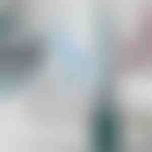 Toiletbørste med integreret rengøringsmiddeldispenser | FLUSHBRUSH