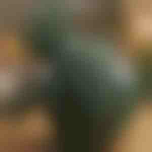 Opvarmet shiatsu-massagepude | MASSORA